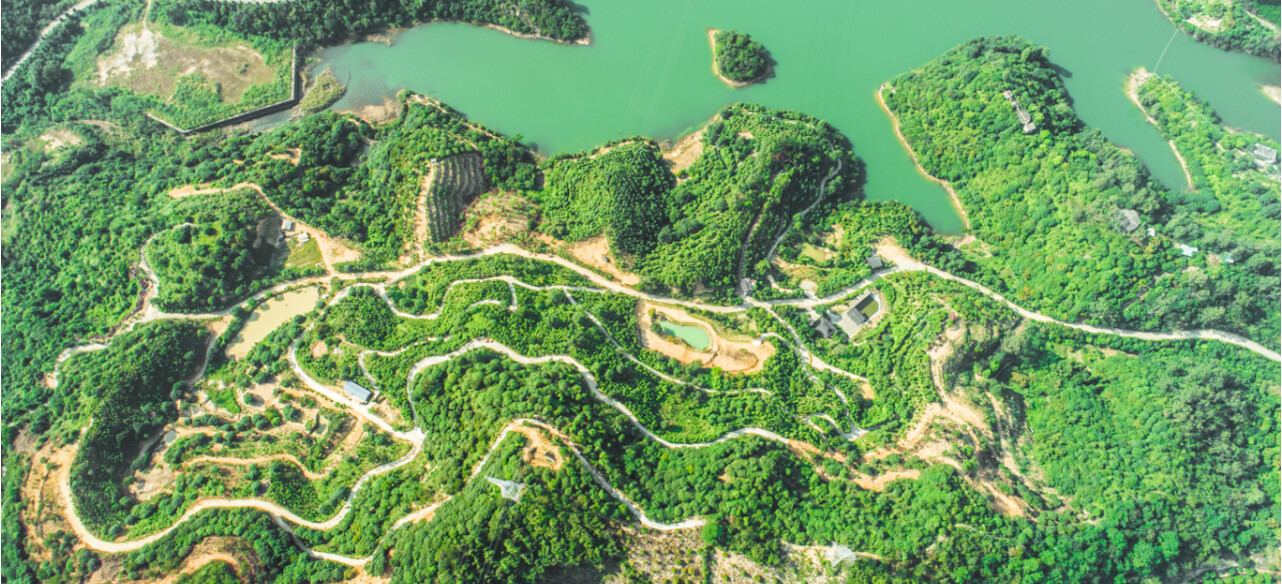 莞香非遗植物园（通讯员供图）