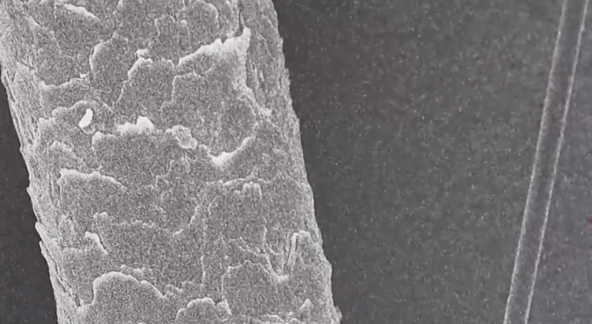 △放大800倍的头发丝(左)与T1200级碳纤维(右)。