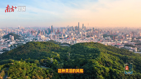 南方+ 金镝 拍摄