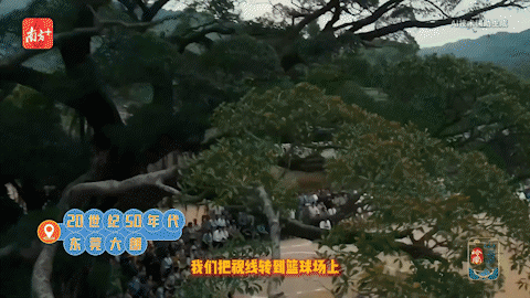 南方+ 金镝 拍摄