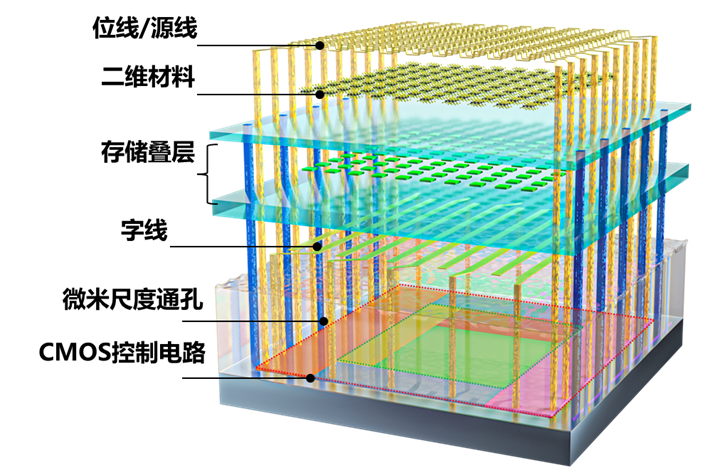 △全功能二维半导体/硅基混合架构异质集成闪存芯片