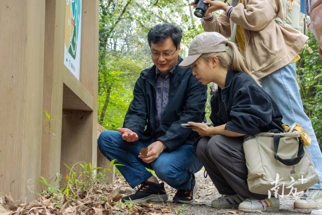 吴永彬在树木园给学生讲解植物知识。 吴永彬在树木园给学生讲解植物知识。
