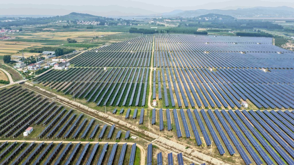 2026年6月1日拍摄的山东省临沂市沂南县岸堤镇“农光互补”49兆瓦集中式光伏电站。新华社发(王彦冰 摄)
