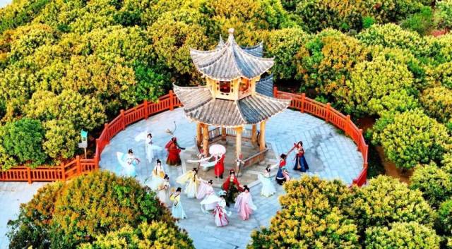 近年来，高州市泗水镇大联滩底村依托荔枝产业资源禀赋，发展短剧经济，探索农文旅融合新路径。（图源：茂名日报）