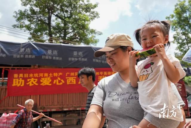 广州市民在番禺售卖现场选购西瓜。 广州市民在番禺售卖现场选购西瓜。
