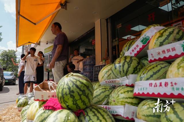 王如波的河南特产店门口堆满了西瓜。 王如波的河南特产店门口堆满了西瓜。