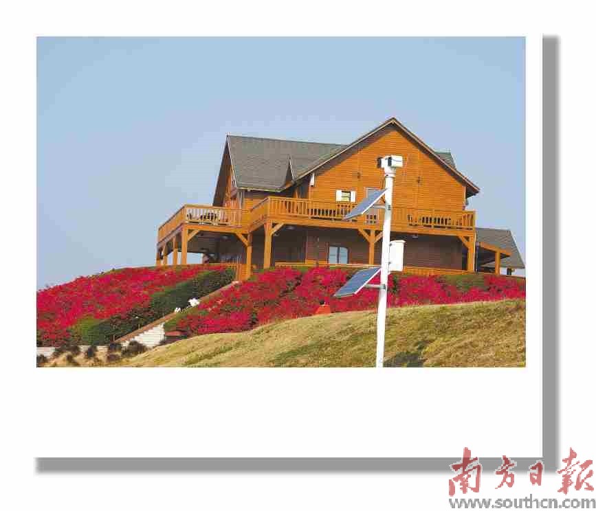 露天矿小木屋花团锦簇。 南方日报记者 叶洁 摄