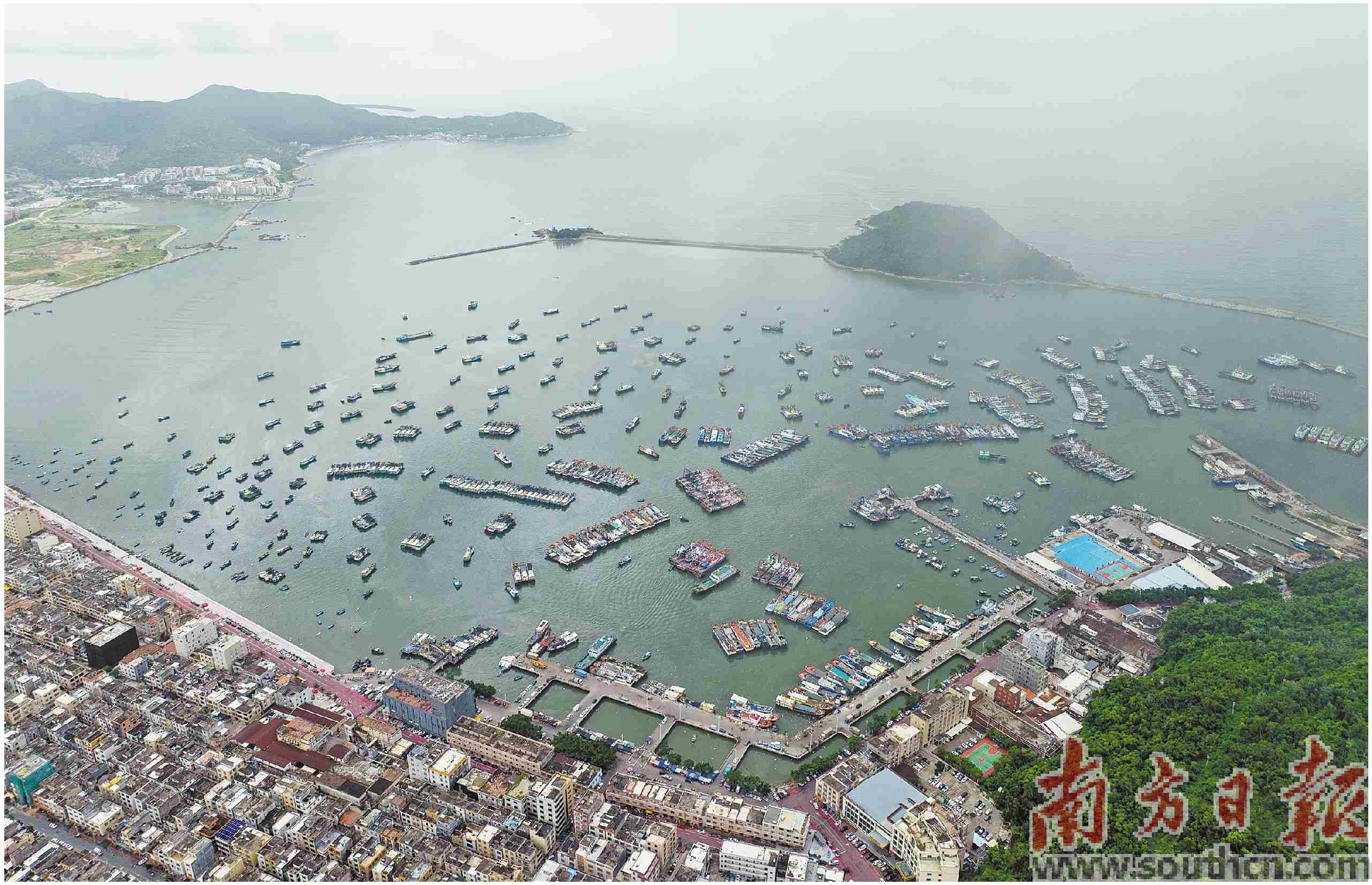 8月14日,2026年南海伏季休渔期即将结束,阳江市阳东区东平渔港内的渔船整装待发。南方日报记者 张令 黄进 摄