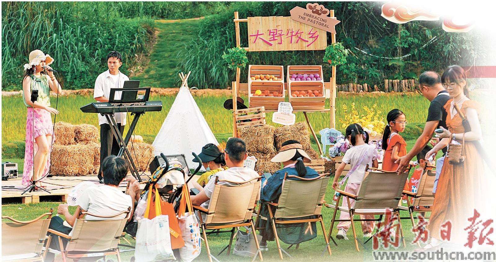 广州从化牧野音乐会。受访者供图