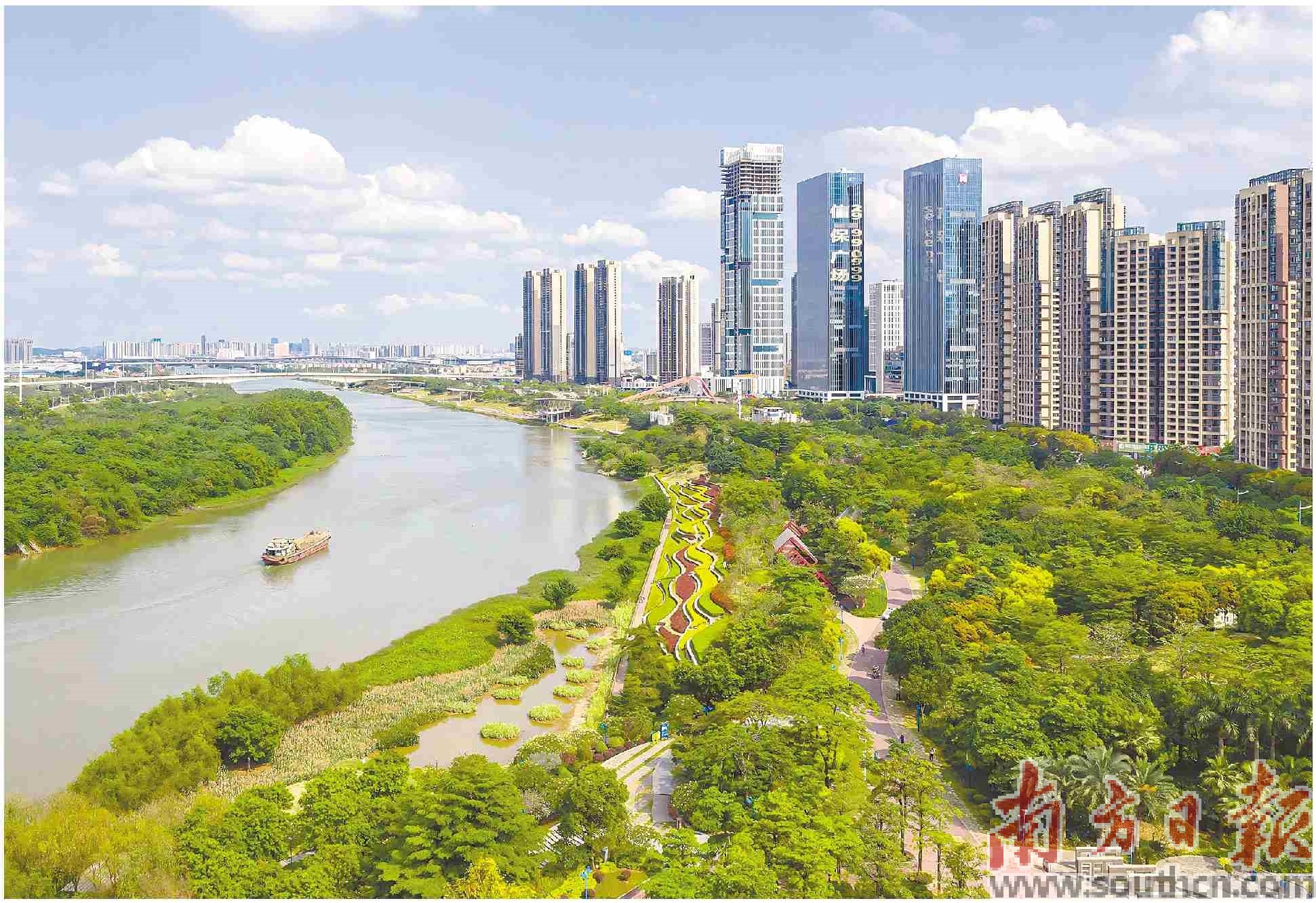 佛山市潭洲水道（顺德段）碧带。通讯员供图